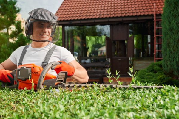 Hand-Held-Hedge-Trimmer