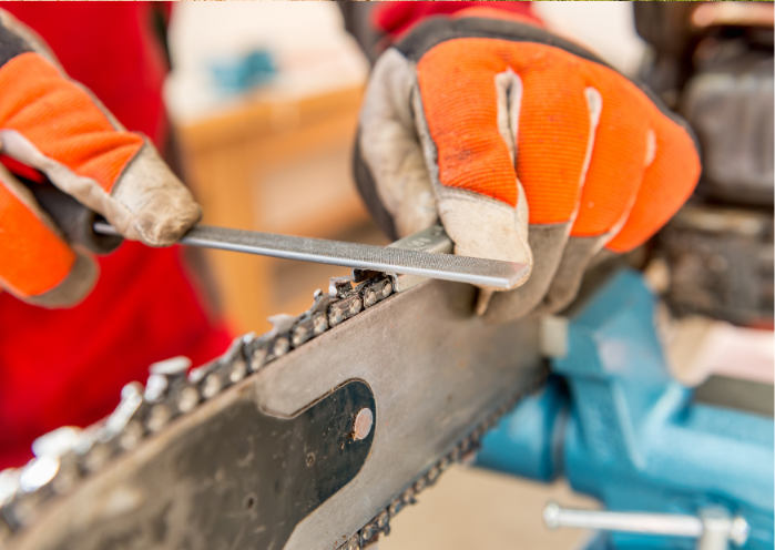 Chainsaw Crosscut Maintenance