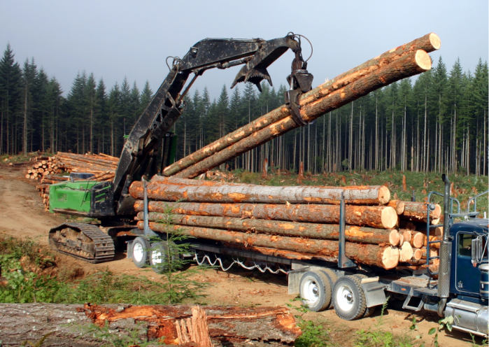 Log Grabber