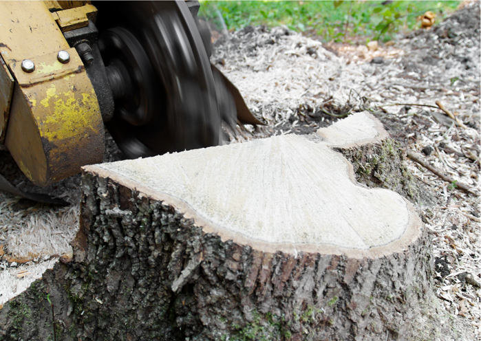 Stump Grinder